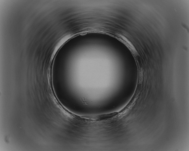 X0000093450812200710121353