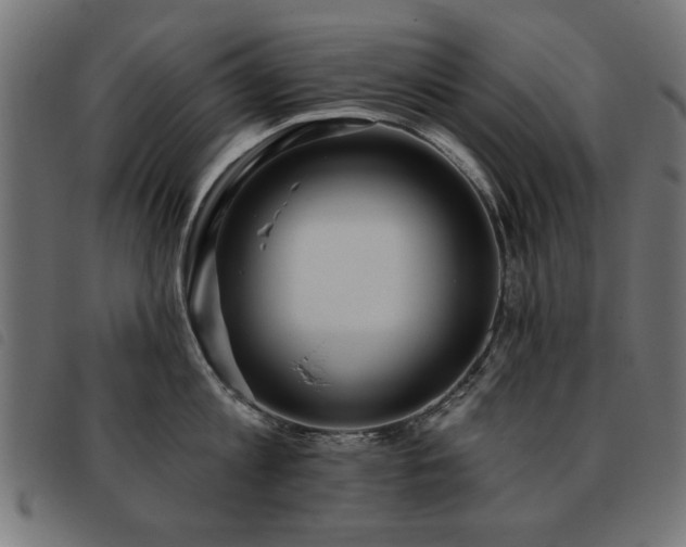 X0000093450813200710121353