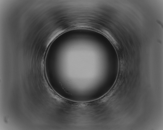 X0000093450814200710121353