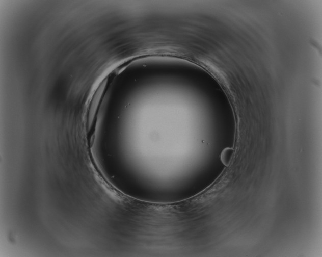 X0000093450816200710121353