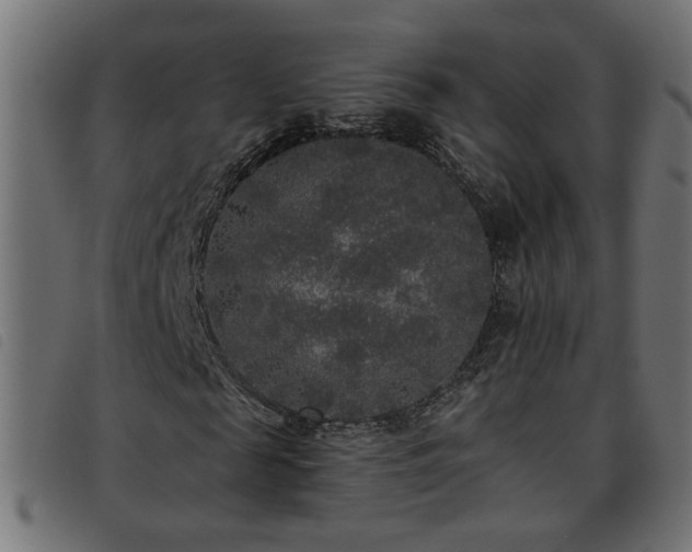 X0000093450817200710121352