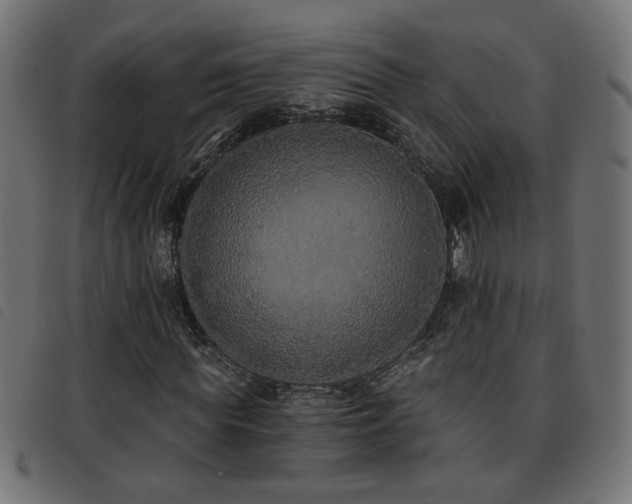 X0000093450819200710121352