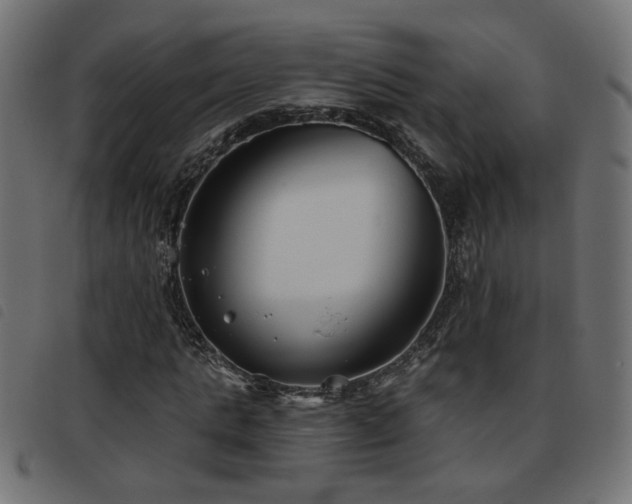 X0000093450821200710121352