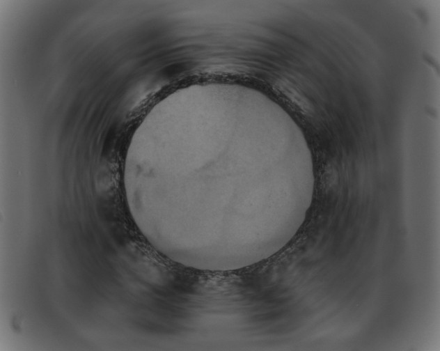 X0000093450824200710121352