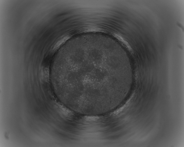X0000093450825200710121352