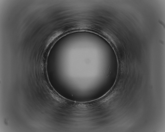X0000093450827200710121352