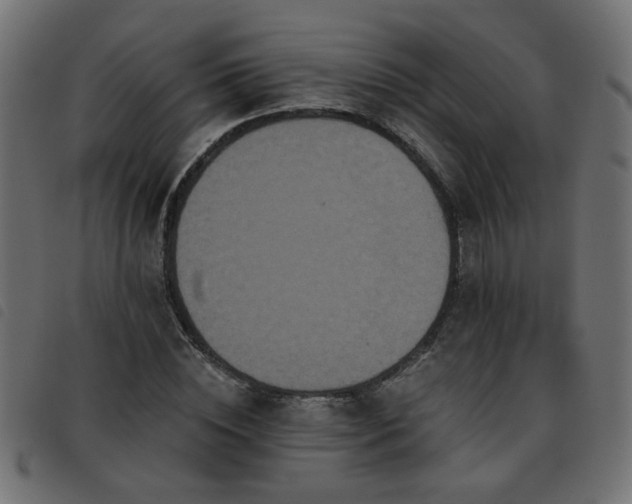 X0000093450828200710121352