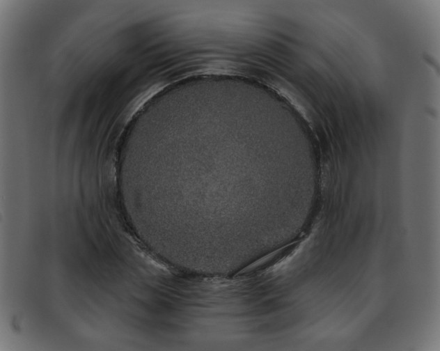 X0000093450829200710121352