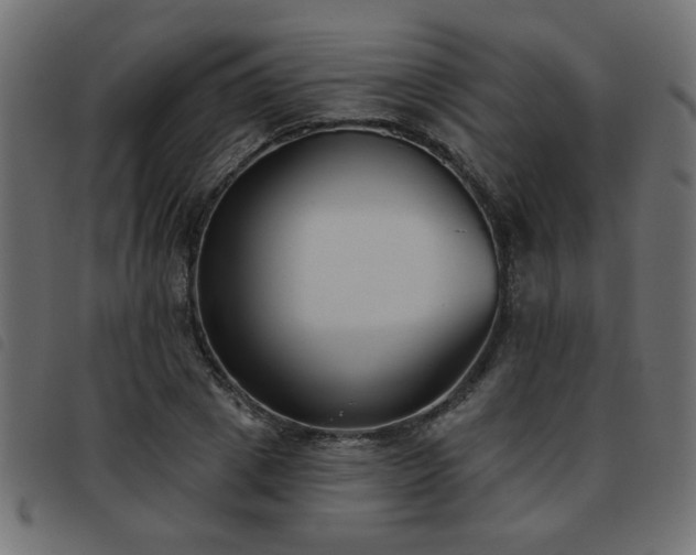 X0000093450833200710121352
