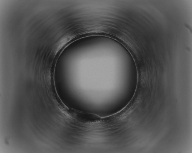 X0000093450834200710121352