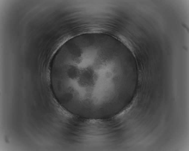 X0000093450835200710121352