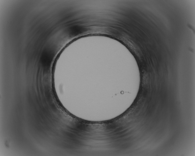 X0000093450836200710121352