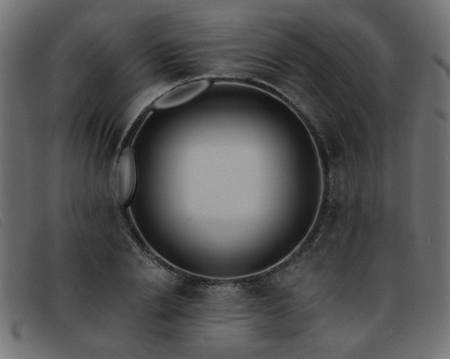 X0000093450838200710121352