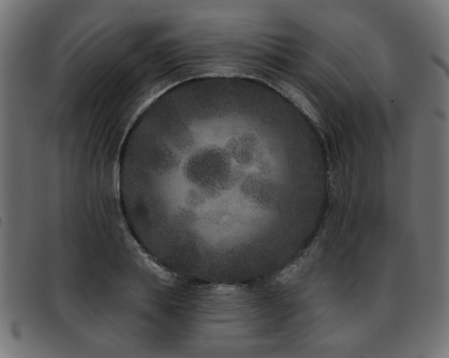 X0000093450839200710121352