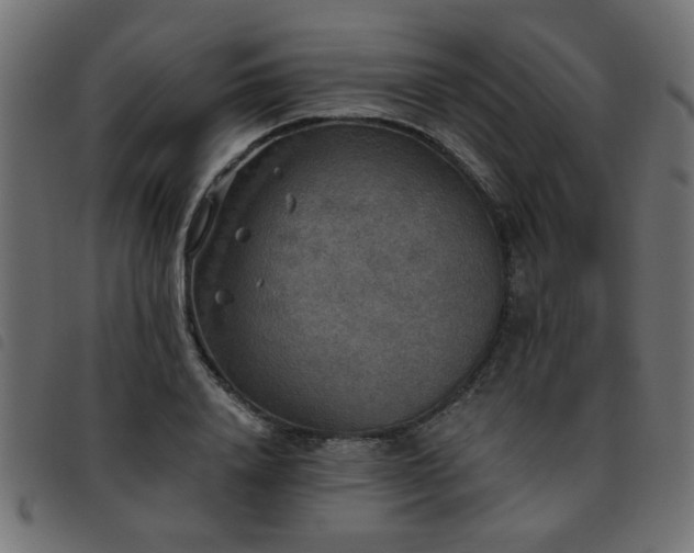 X0000093450840200710121352