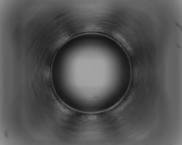 X0000093450841200710121352