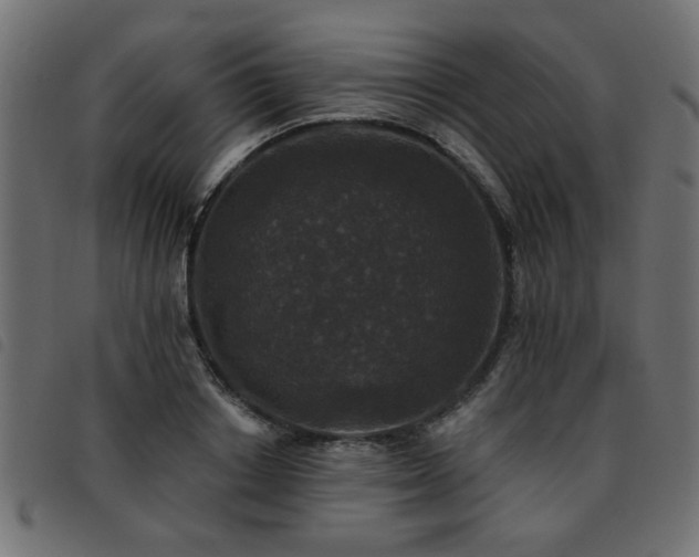 X0000093450842200710121352