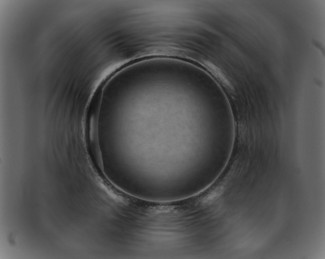 X0000093450846200710121352