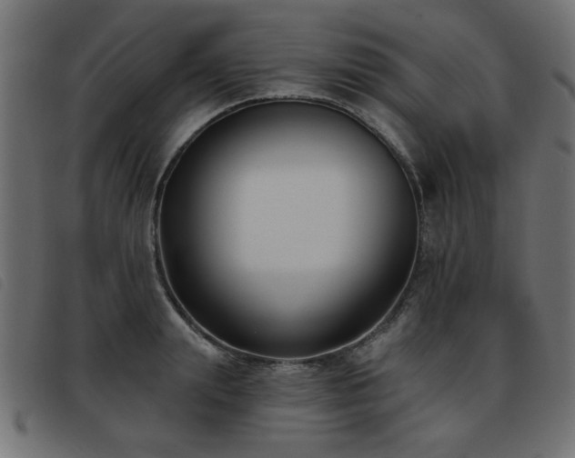 X0000093450847200710121352
