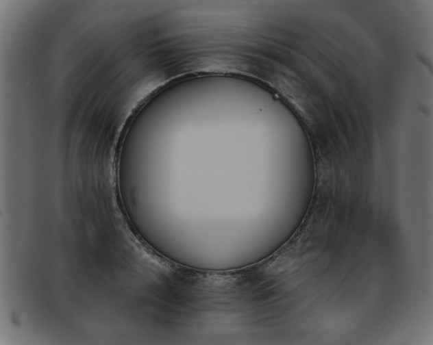 X0000093450848200710121352