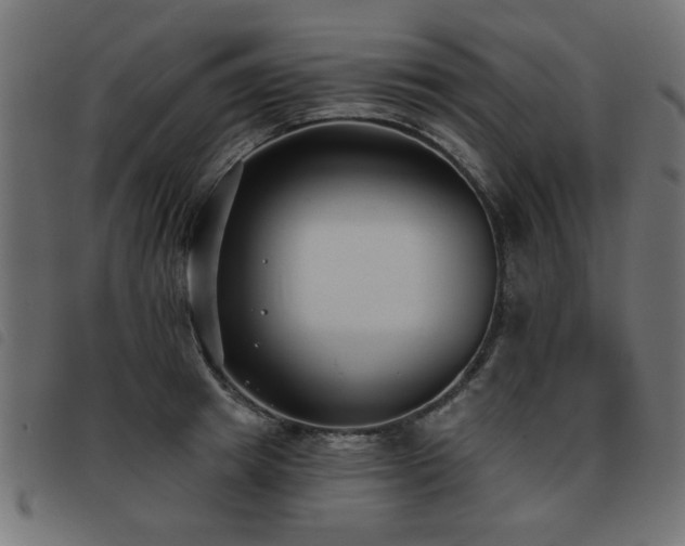 X0000093450849200710121352