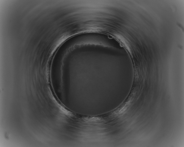 X0000093450851200710121352