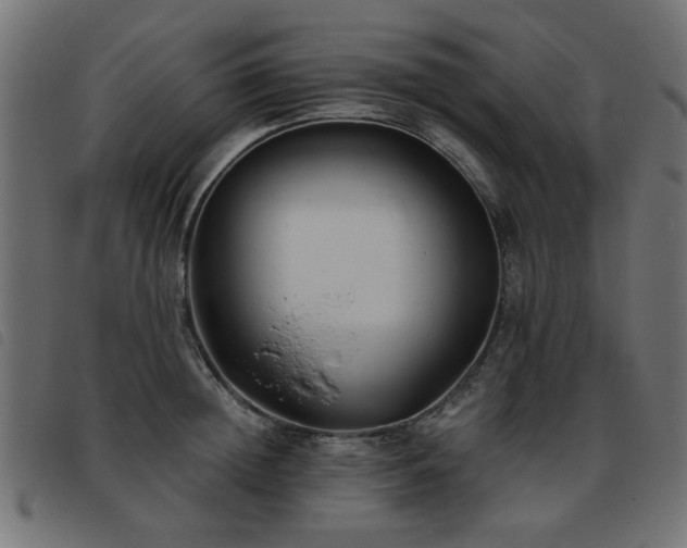 X0000093450852200710121352
