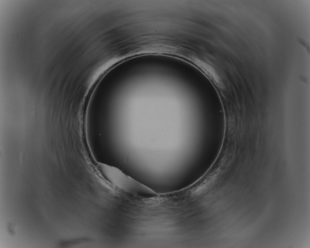 X0000093450854200710121352
