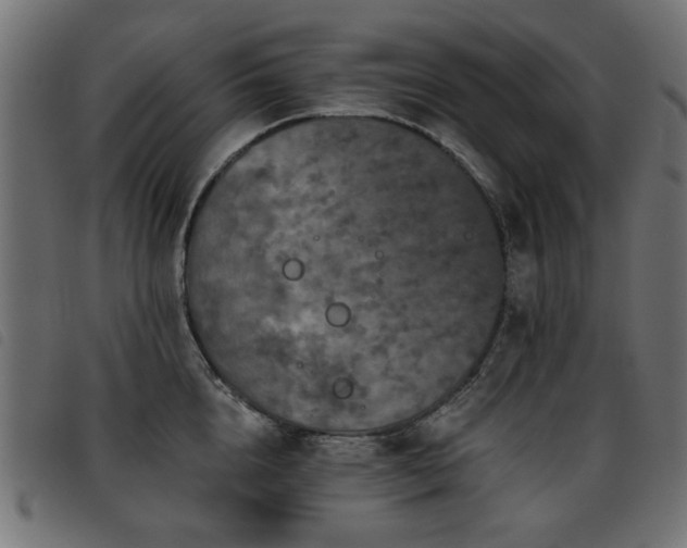 X0000093450856200710121352