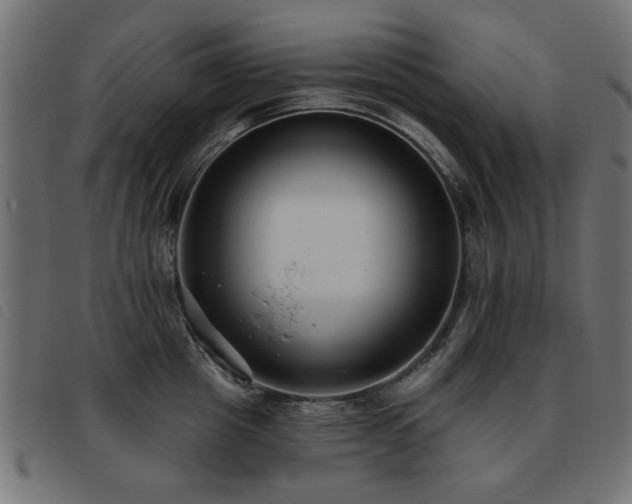 X0000093450857200710121352