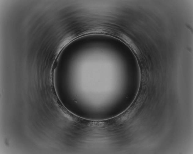 X0000093450858200710121352