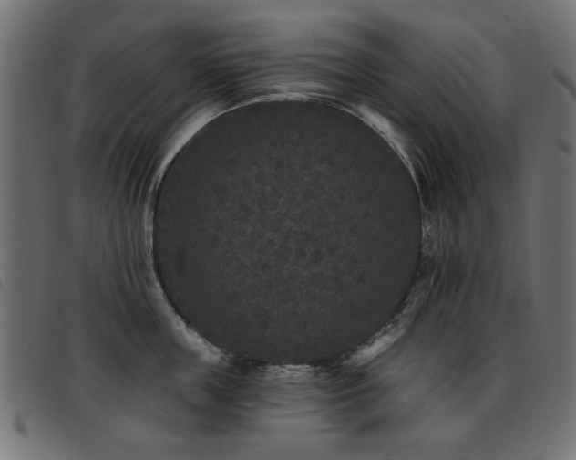 X0000093450859200710121352