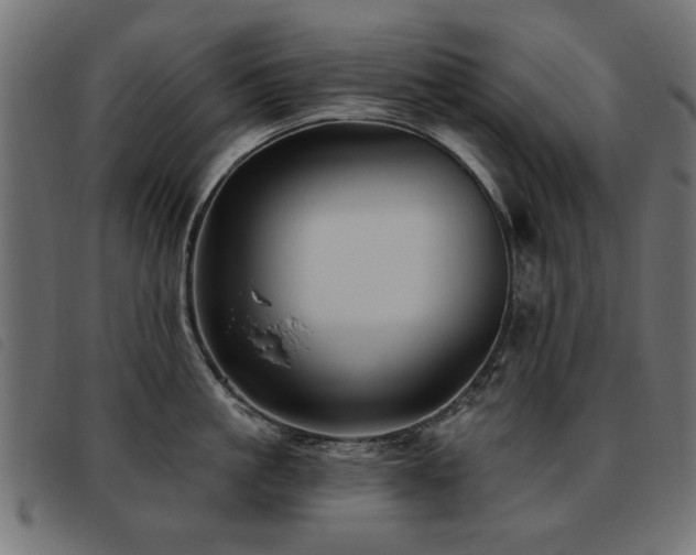 X0000093450861200710121352
