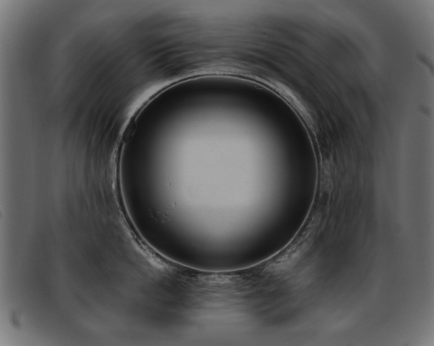 X0000093450862200710121352