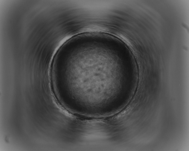 X0000093450864200710121353