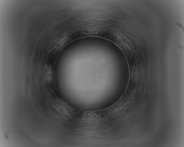 X0000093450866200710121352