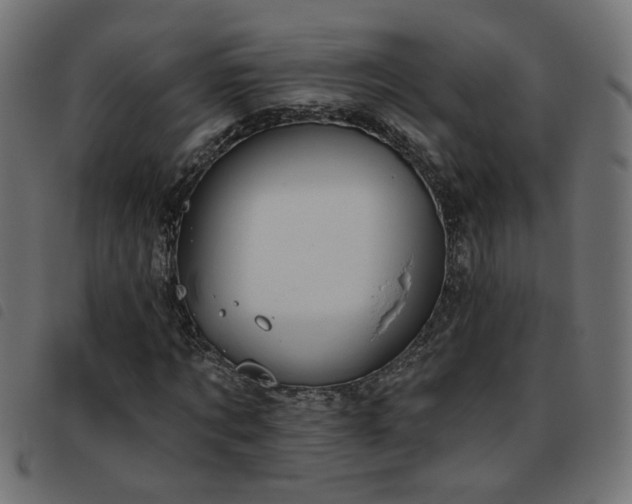 X0000093450869200710121352