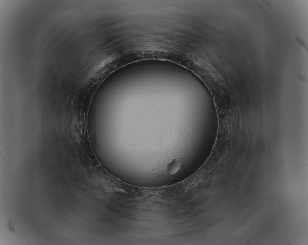 X0000093450870200710121352