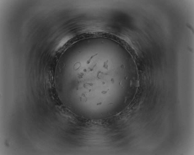 X0000093450871200710121352