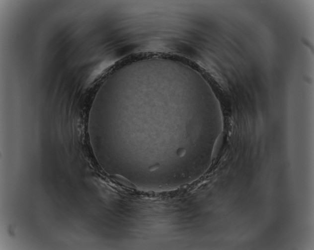 X0000093450872200710121352