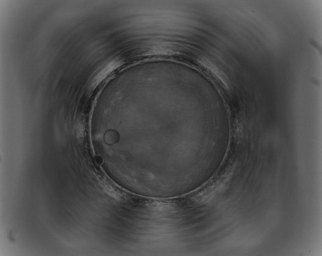 X0000093450874200710121352