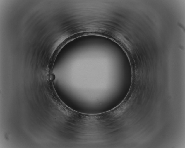 X0000093450875200710121352