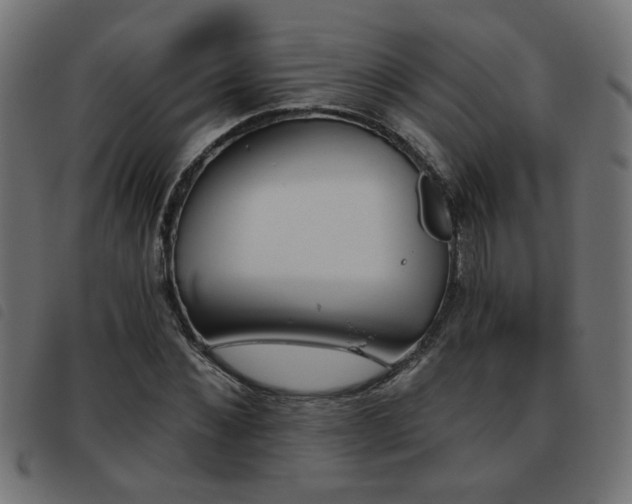 X0000093450876200710121352
