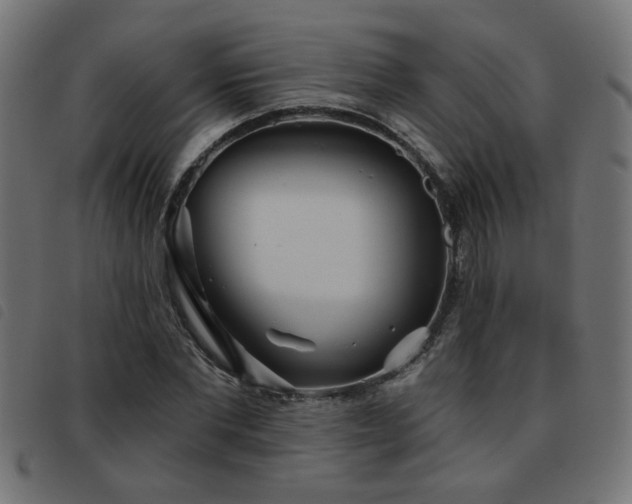 X0000093450877200710121352