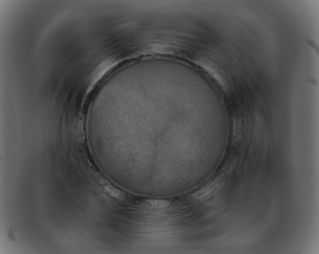 X0000093450878200710121352