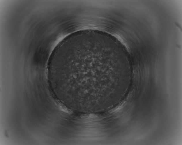 X0000093450879200710121352