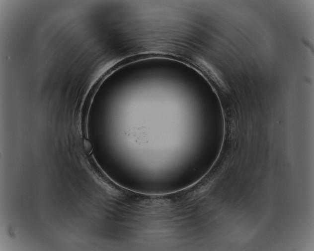 X0000093450884200710121352