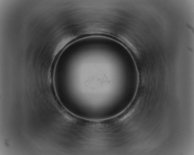 X0000093450885200710121352