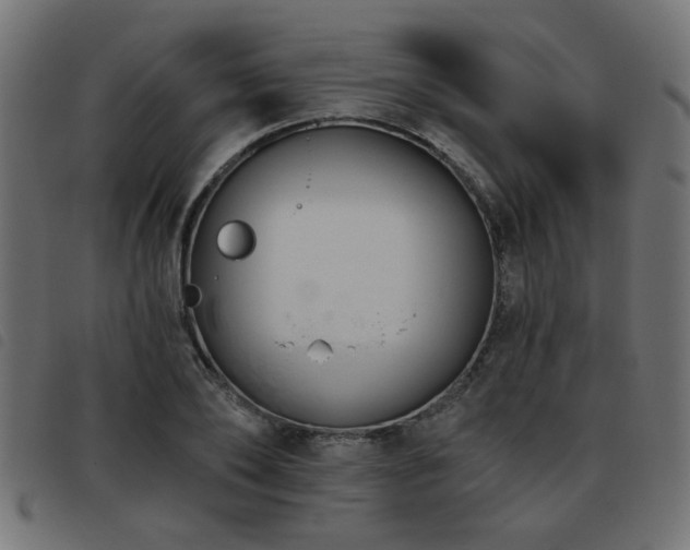 X0000093450886200710121352
