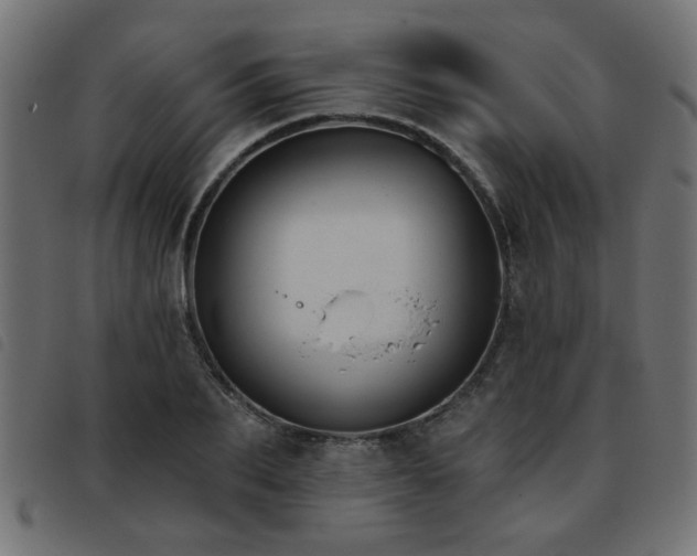 X0000093450887200710121352